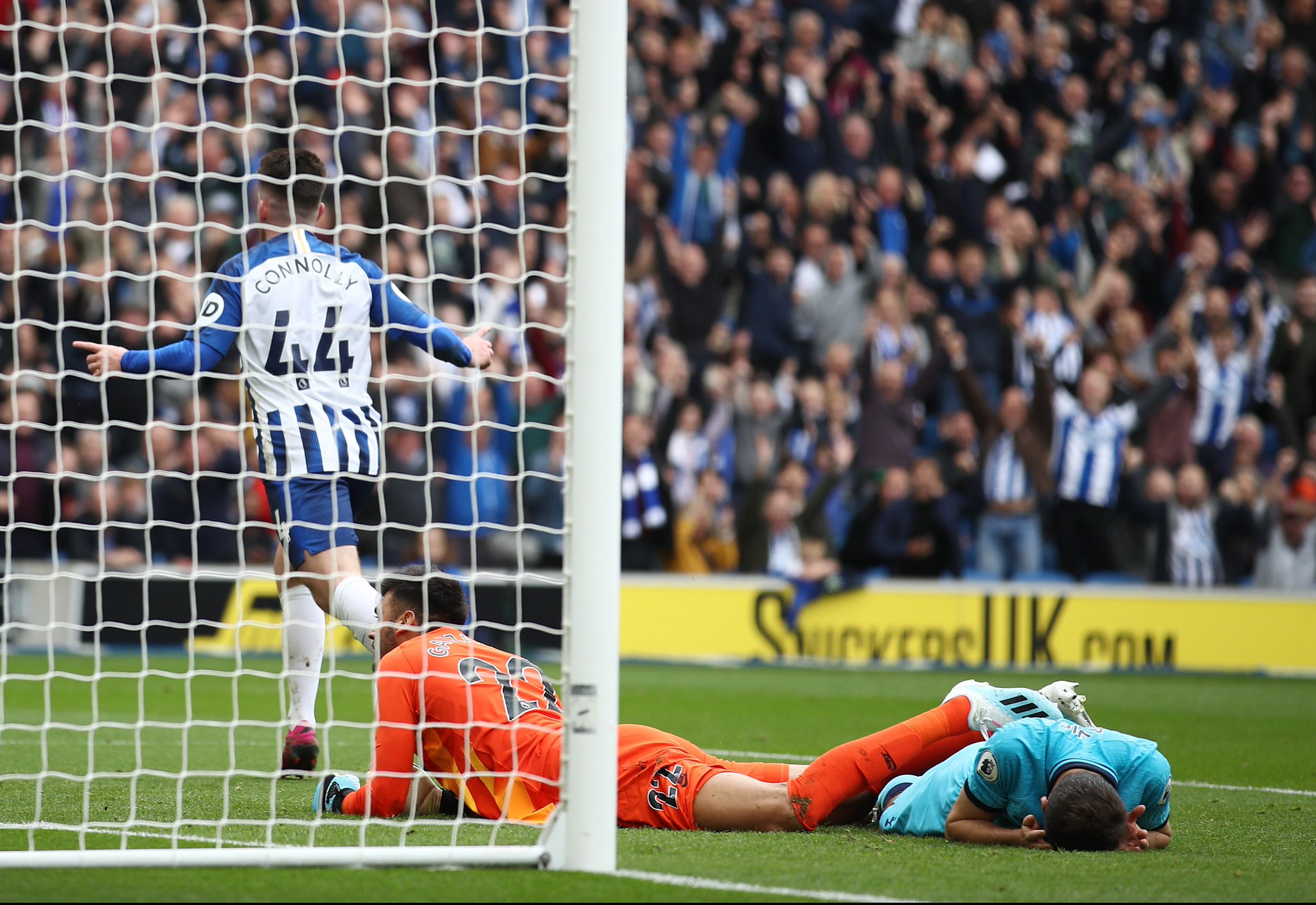 引领乒乓球 引领乒乓球